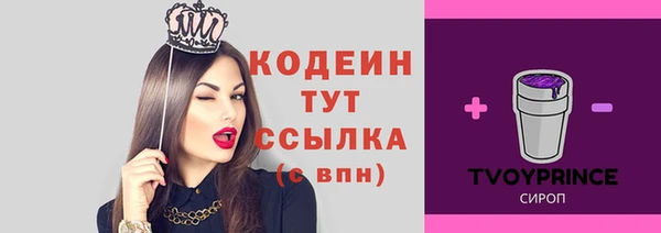 скорость Нягань