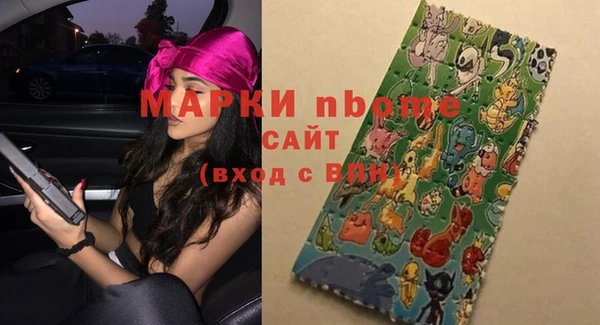apvp Алзамай